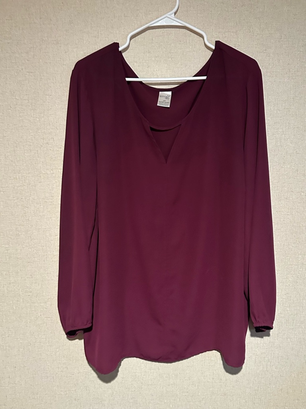 Terra & Sky 2X Plum V-Neck Long-Sleeve Semi Sheer Blouse Plus Size